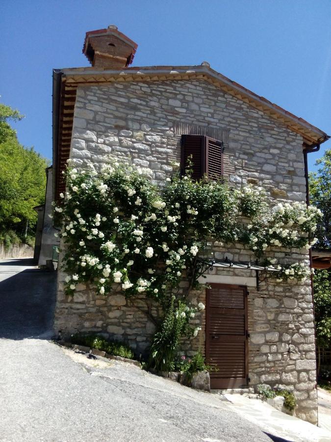 Bed & Breakfast Sentiero 54 Cantiano Dış mekan fotoğraf