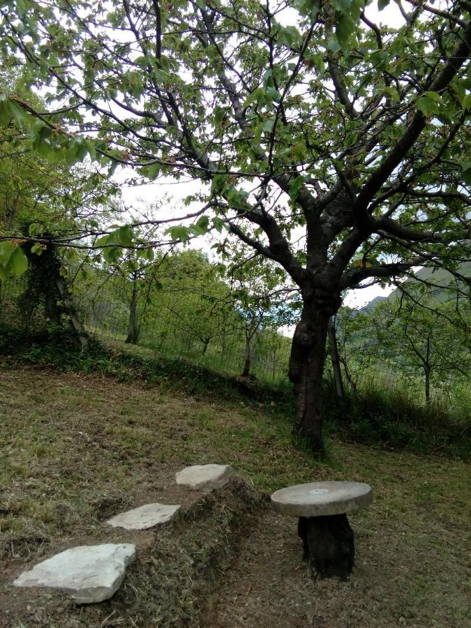 Bed & Breakfast Sentiero 54 Cantiano Dış mekan fotoğraf